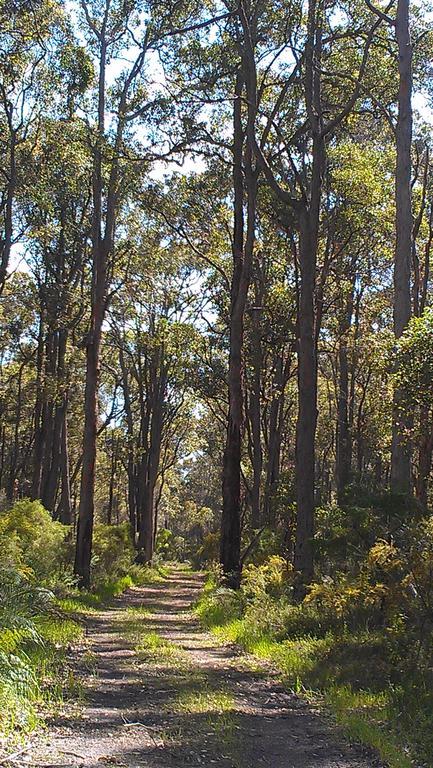 Redgate Forest Retreat Witchcliffe 외부 사진